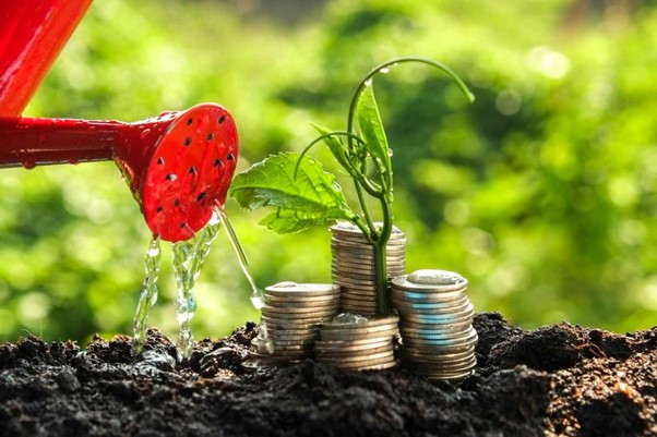 اصول فنگ شویی ثروت: چگونه انرژی جریان پول را تقویت کنیم؟